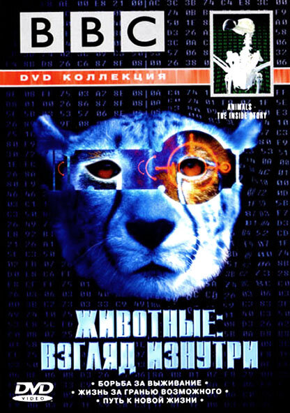 BBC: Животные: Взгляд изнутри (2002) постер