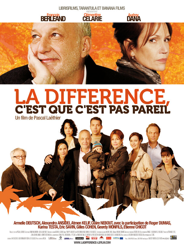 Разница в том, что это не то же самое (2009) постер