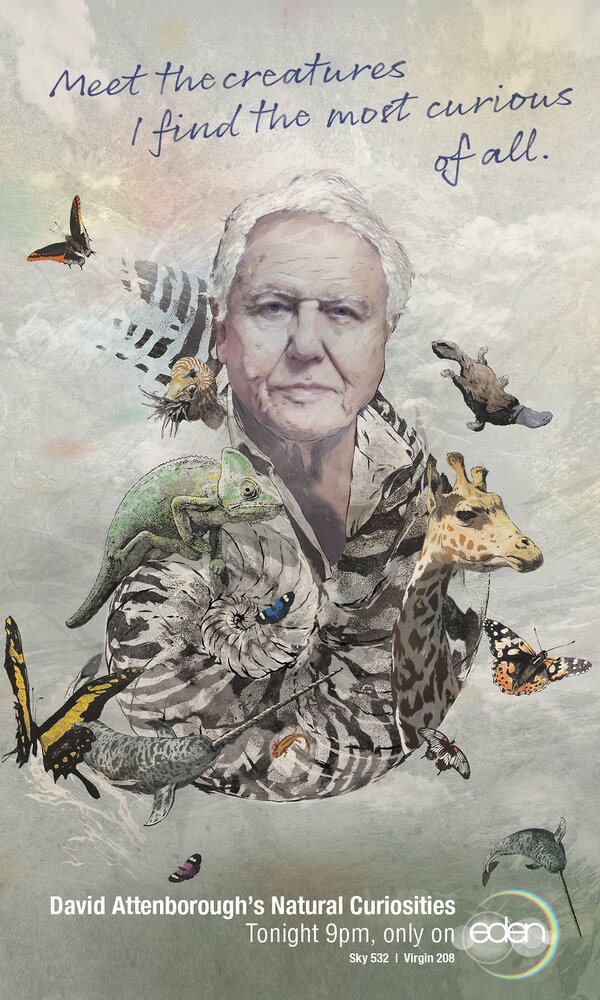 Дэвид Аттенборо. Курьезы природного мира (2013) постер