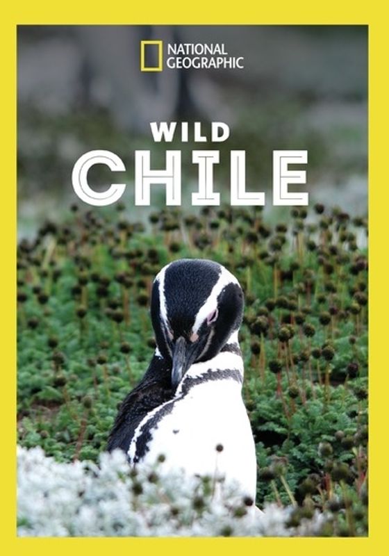 Wild Chile (2018) постер