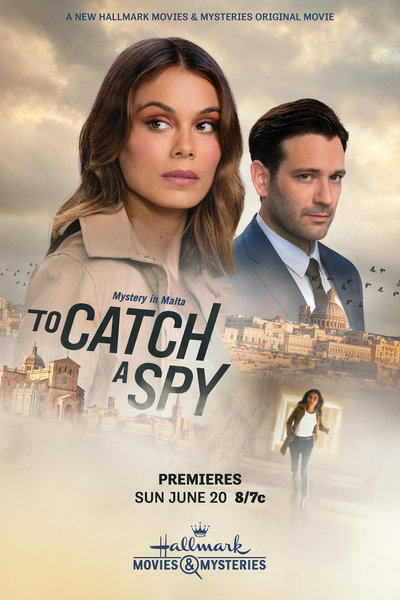 Поймать шпиона (2021) постер