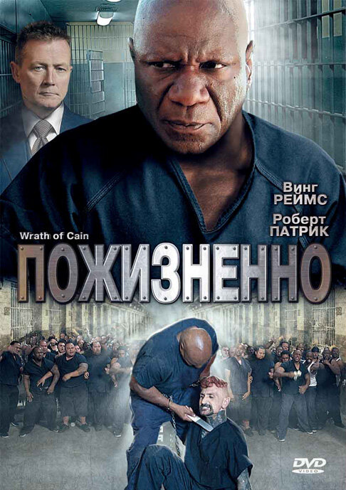 Пожизненно (2010) постер