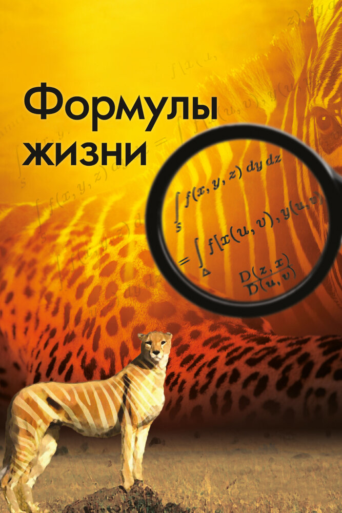 Формулы жизни (2010) постер