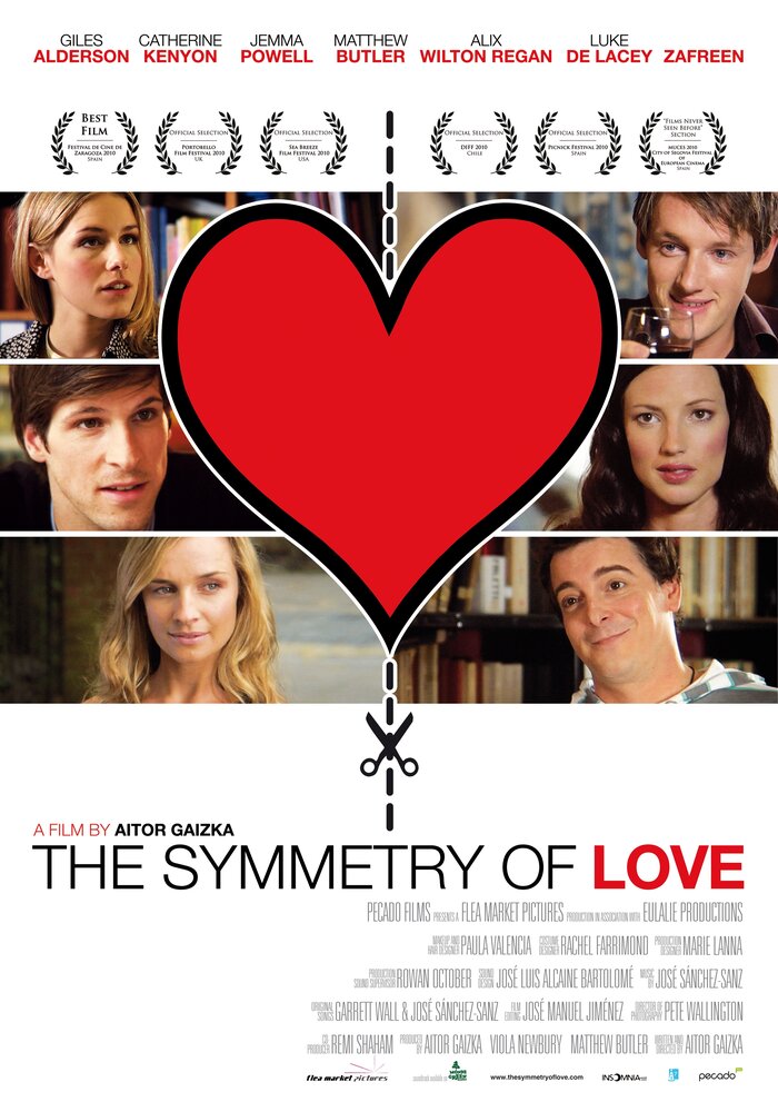 Симметрия любви (2010) постер