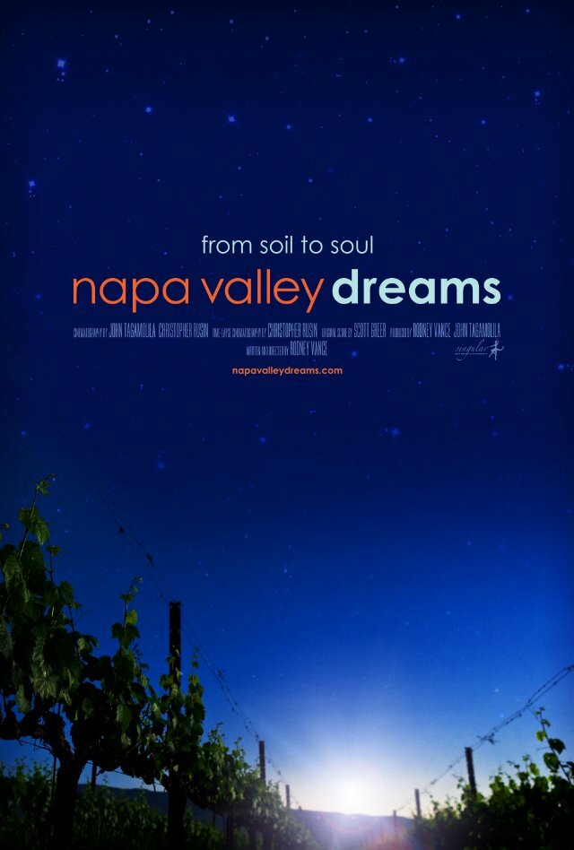 Napa Valley Dreams (2013) постер
