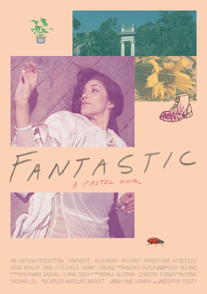 Fantastic (2016) постер