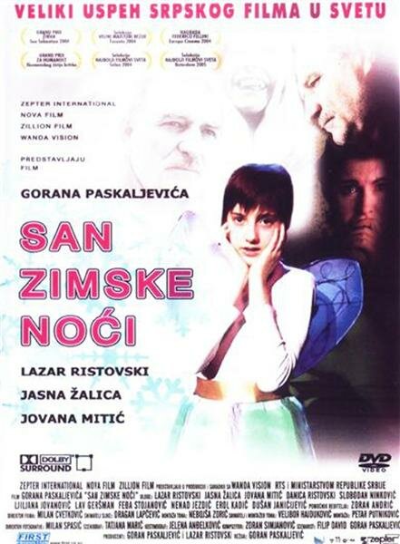 Сон в зимнюю ночь (2004) постер