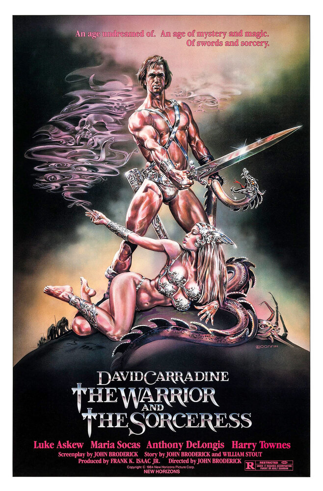 Воин и колдунья (1984) постер