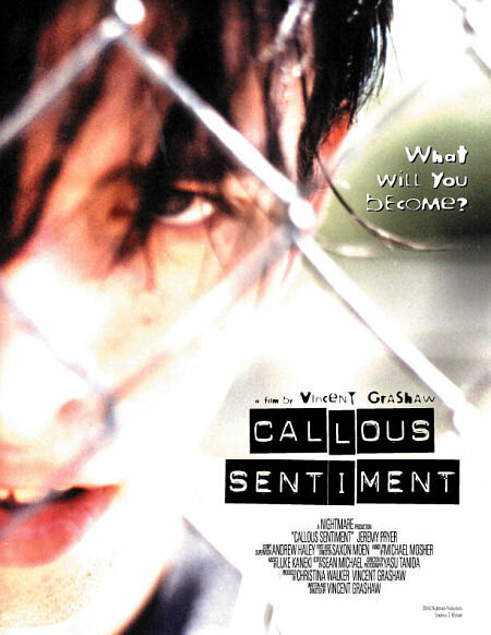 Callous Sentiment (2002) постер